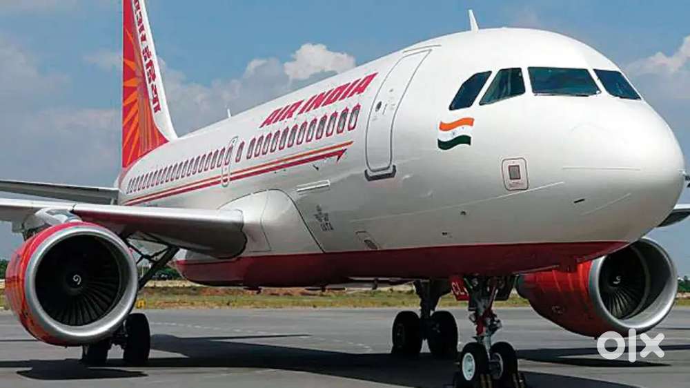 Various Jobs in Airport Ground Staff And Cabin Crew.