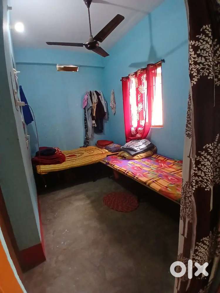 Girl room partner needed  urgently