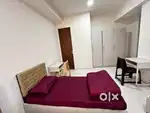 No brokerage pg paying guest cleaning wifi gas free with huge balcony