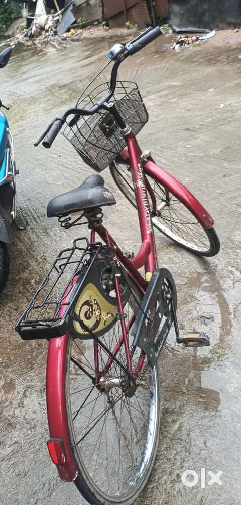 BSA Cycle Ladies