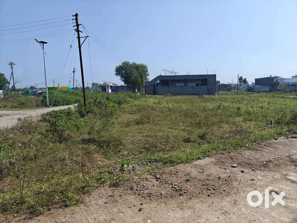 Plot available in Morshi