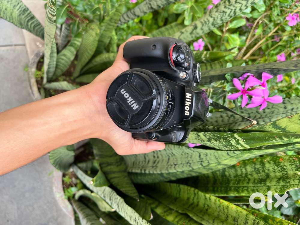 Nikon D3400 with kit lens and 50mm prime lens