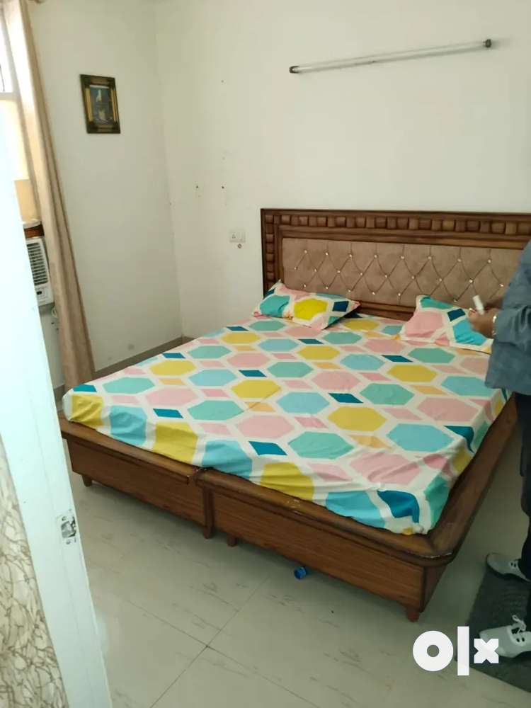 Fully furnished for rent phase 11 Mohali