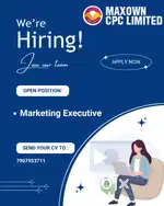 Marketing Executive