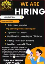 Salrs executive (male and female)