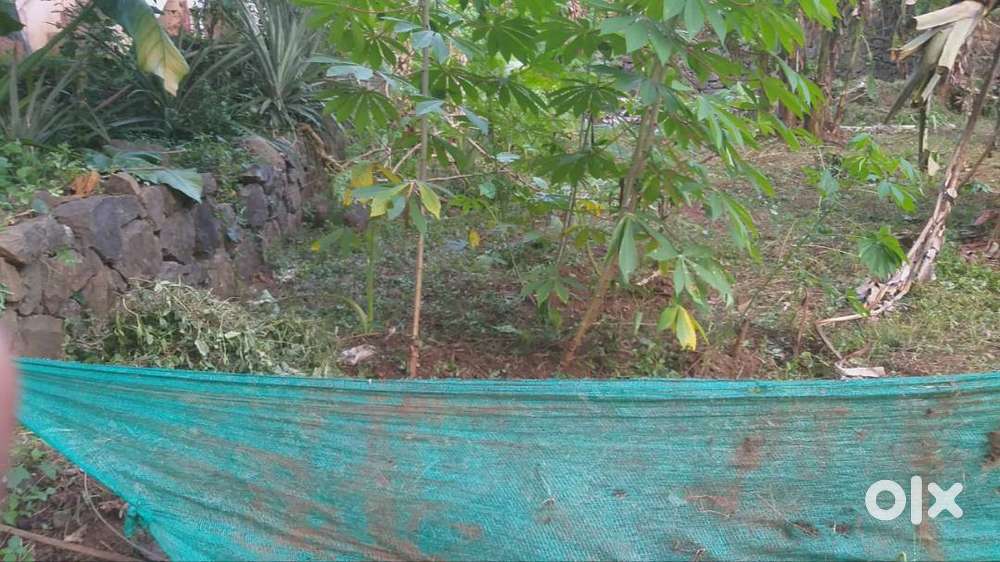 10cent plot for sale