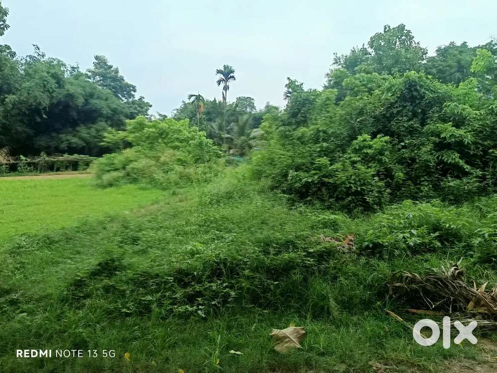 Land for sale at Bamunpukhuri Dimapur