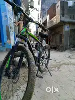 Mast cycle