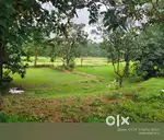 2 Acres Land on Deori Gondia 4 Line Highway