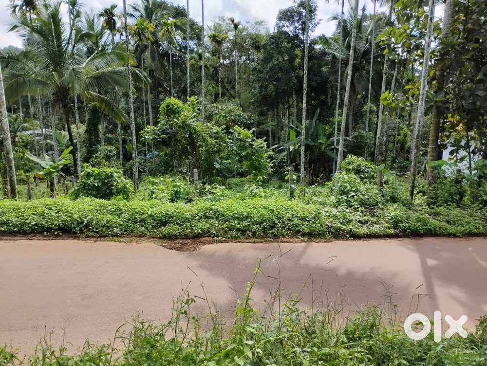 14 cent plot for House Or Agriculture