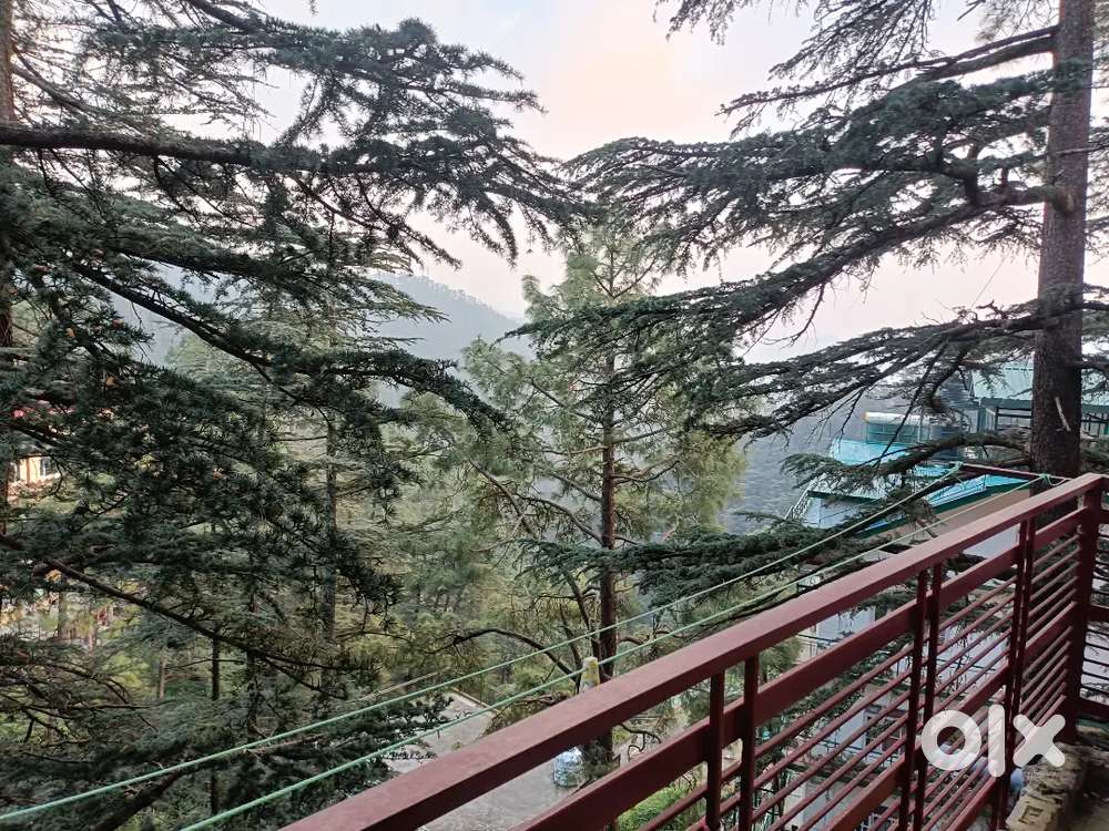 Cozy place with rinsing sun 10 min drive from mall road