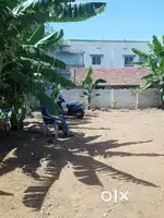Land for rent in nesavalar colony,ondiudur