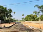 5,6,7,3,4, cents  residential plot for sale at Kakkanad.