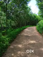 Rubber plot for sale