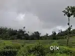 1.36 Acre Highway-Front Commercial Plot at Vagamon Ottamaram Para