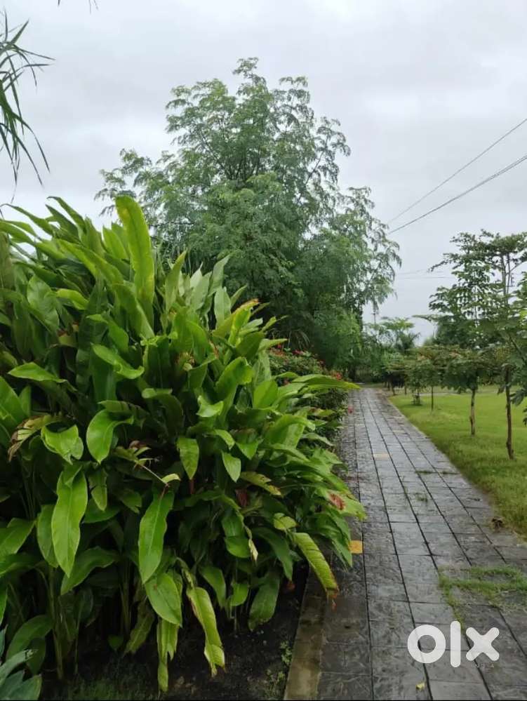 Plot with RL ready