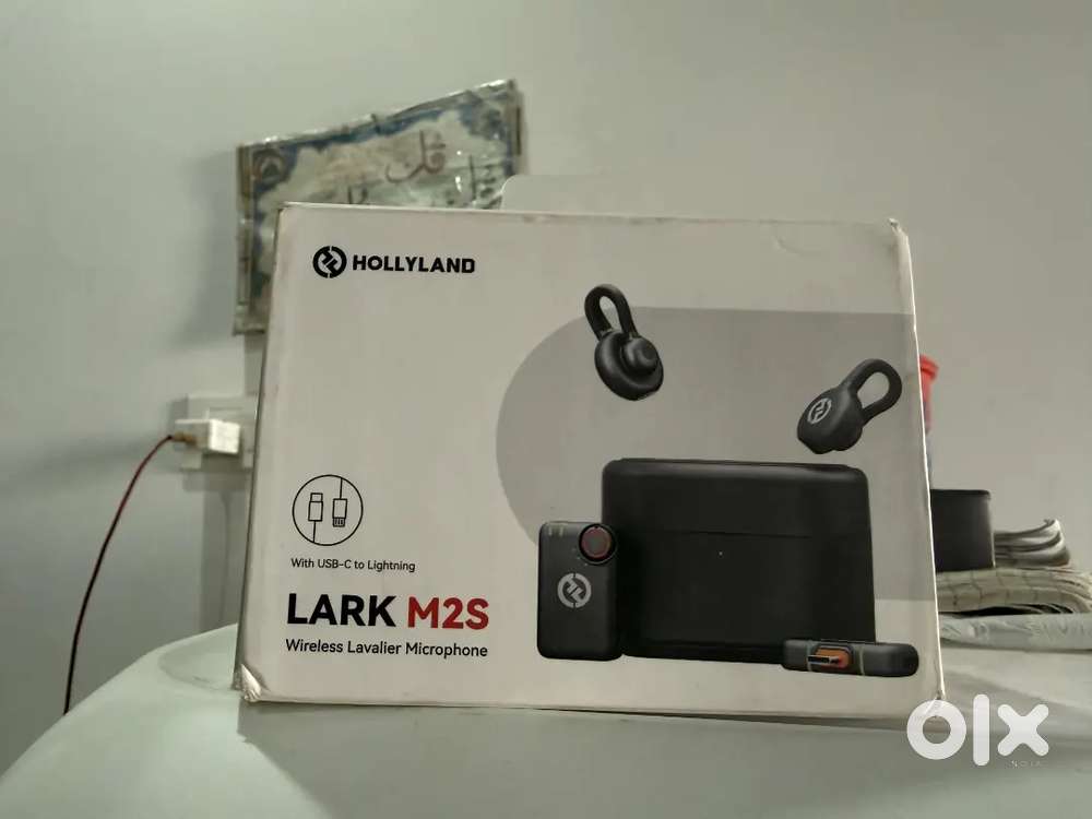 Hollyland lark m2s Mic