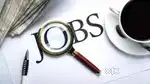 Jobs in various feild