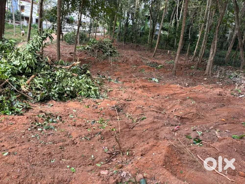 residential area plot