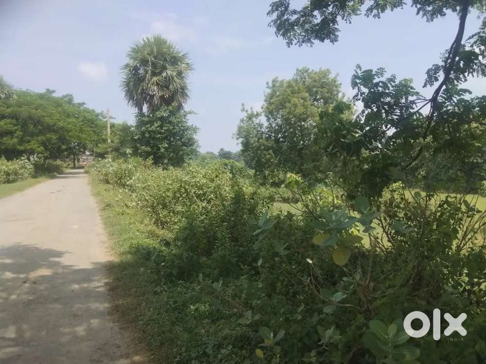 Road side.Angul to 7km.Nearest jindal Airport