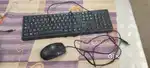 Keyboard and mouse (fully functional close to new)