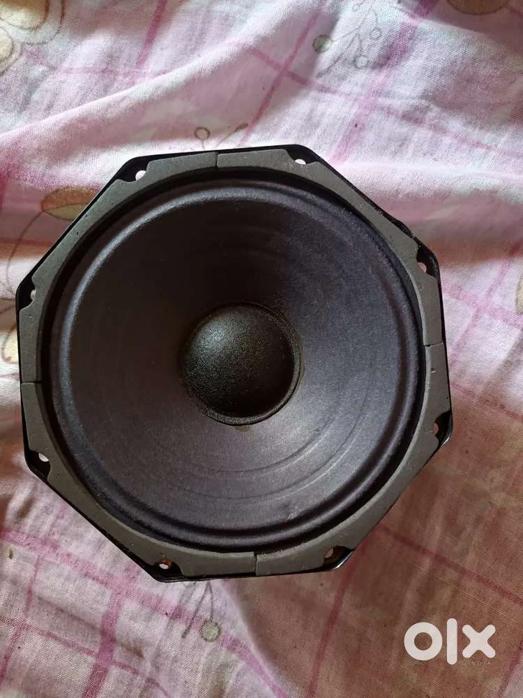 6 inch woofer speaker