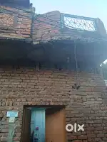 Ye makan bikau h please arjent money