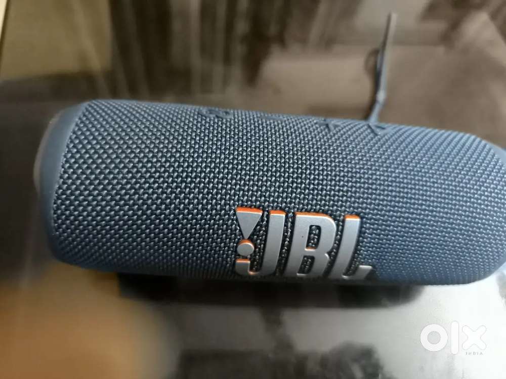 JBL (Flip 6)