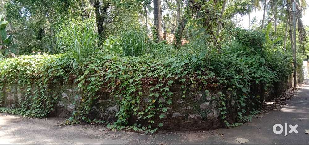 8 cent plot for Sale near MIMS Hospital for Rs.14Lac per cent