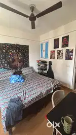 looking for a male bachelor flatmate in jaypee kosmos on urgent basis