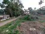 12 cent square plot. 3,50,000 per cent