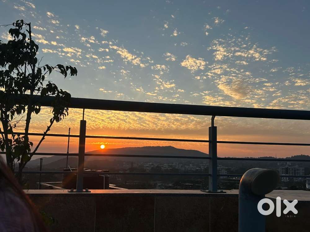 Need mad 3 times khana