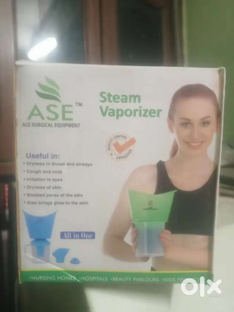 Large size steamer