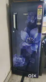 Whirlpool Fridge