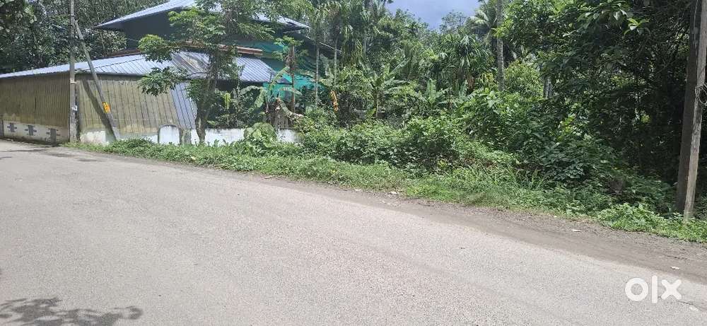 20 CENT HOUSE PLOT FOR SALE NEAR VALAMBOOR
