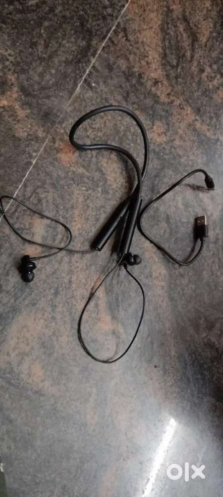 Zebronics Earphones