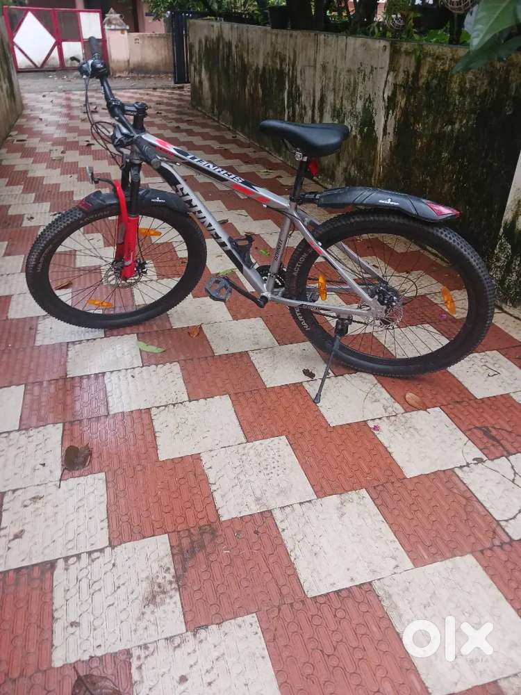 Schnell 21 speed gear cycle