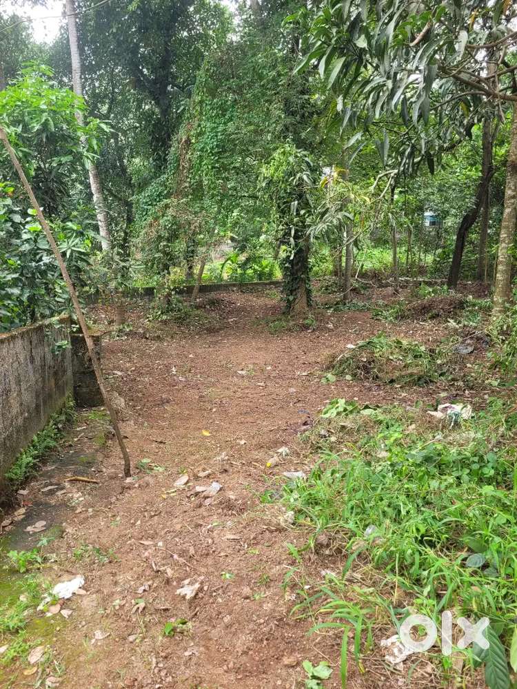 13cent for sale - 5km from techno park