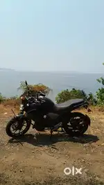 Model - fz v3  age - 1.5years