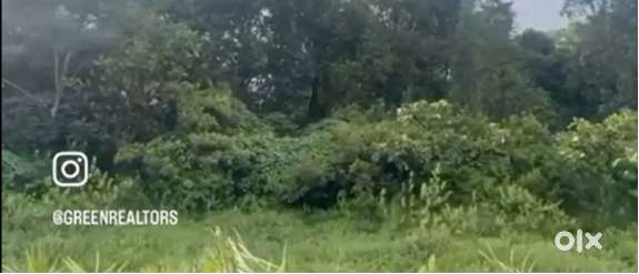 6 Acre Land for Sale – Devaramane, Mudigere