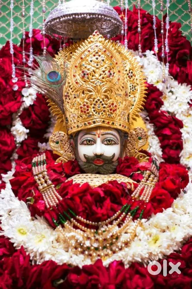 Plot House in Rohini Sector-24