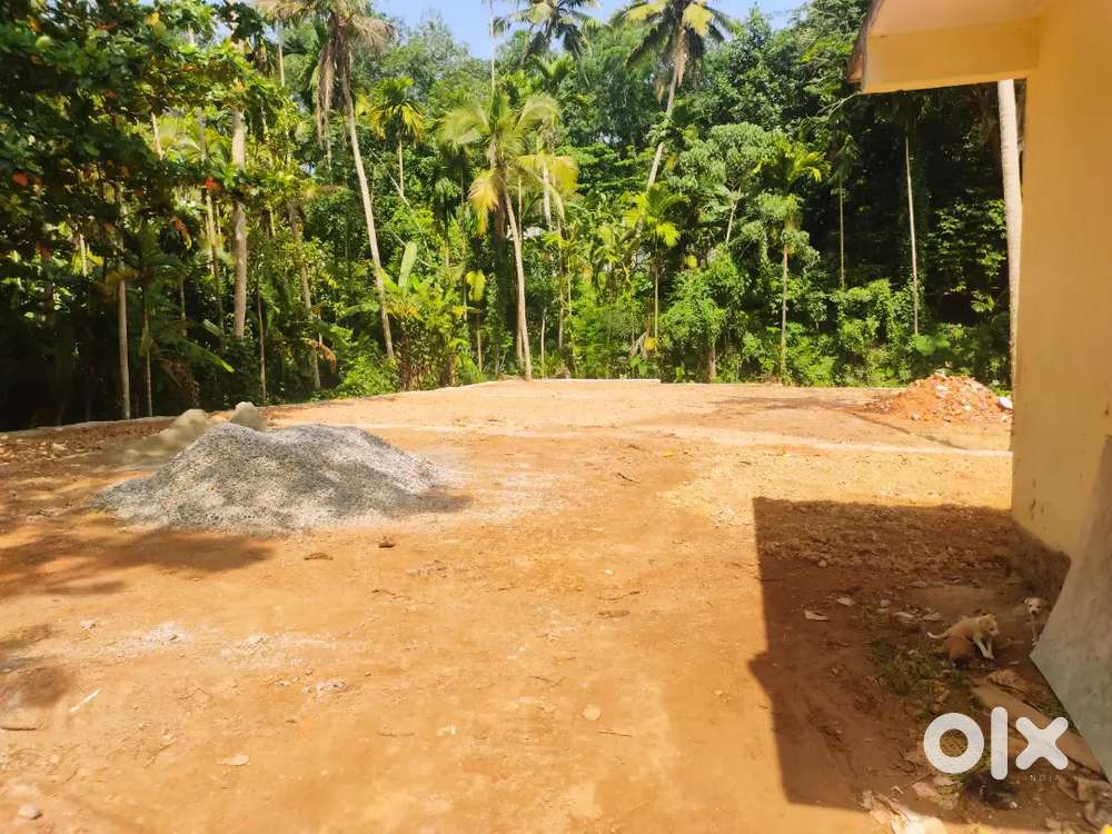 kattayikkonam(250 metre MC road )