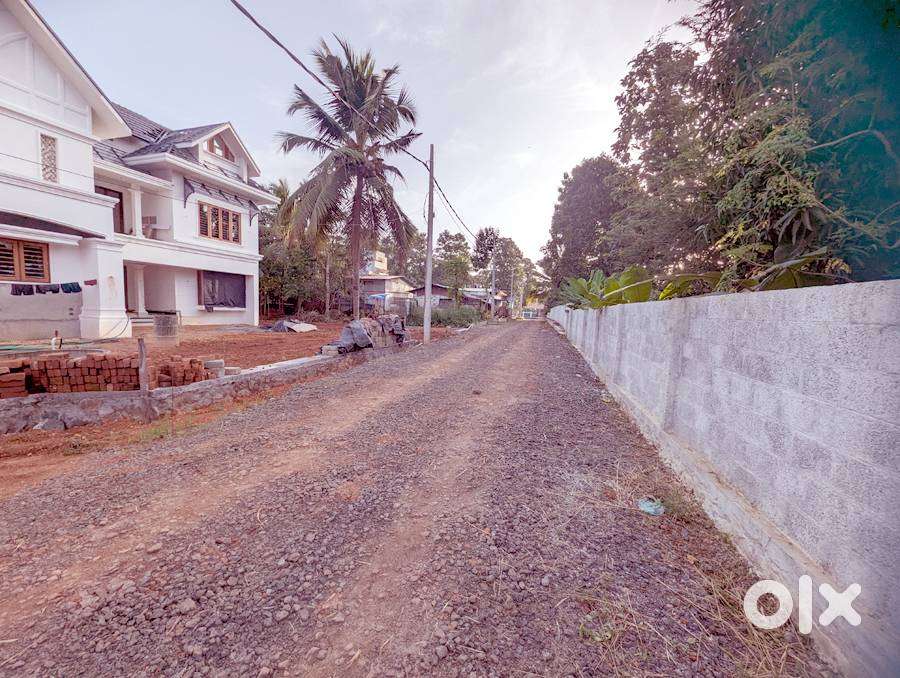 Land 21 cents near Kanjikuzhy-Devalokam 5.25 lakh/cent