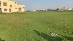 ( 3 Katha ) Par Katha 6,50,000 Hari Bajar Fuljhor Main Rode