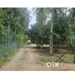 Agricultural land for sale in Chamanapathy, Palakkad