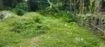 Borka near college residential plots available