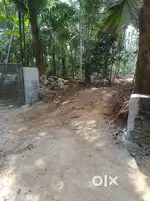 Land for sale Vadakara(Karthikappally)1.8km Villiappally plot for sale
