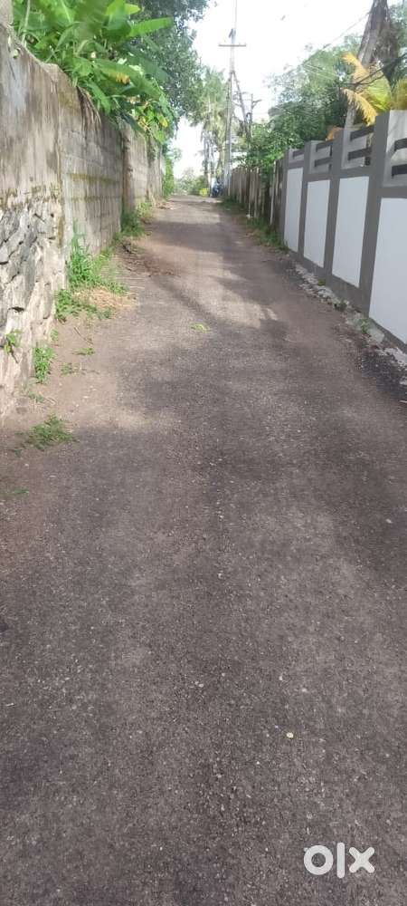 15 cent prime residential plot for sale in pongumoodu