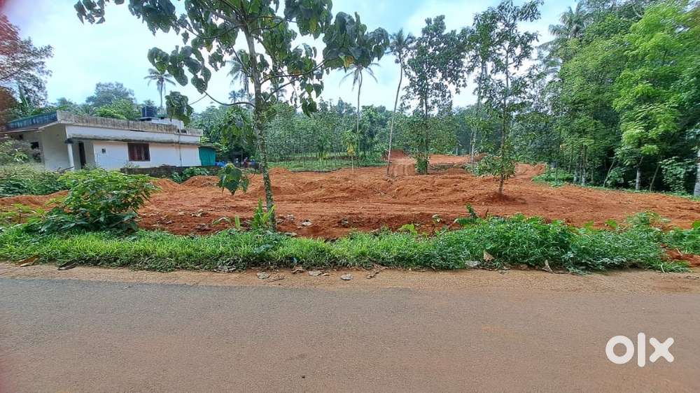 House plot