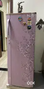 LG 5star fridge